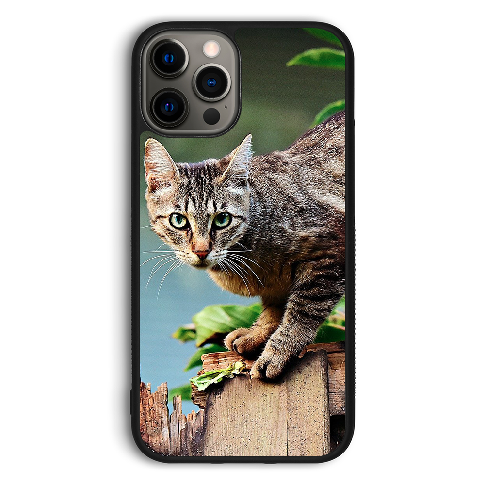 Mr Moggy Cat phone case - CASERY