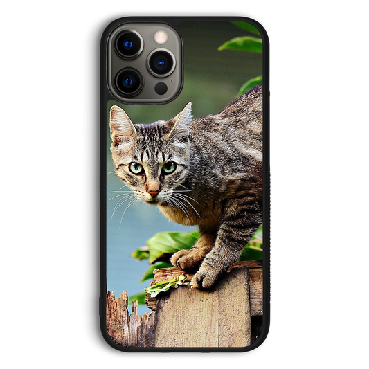 Mr Moggy Cat phone case - CASERY